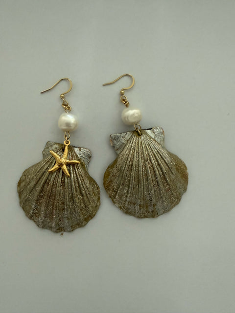 Seashell Earrings