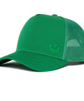 101-0784-GRE-L01