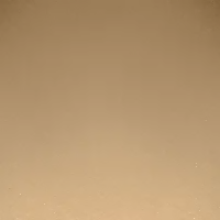 PAESE Illuminating & Covering Powder - 1C Warm Beige