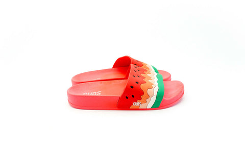 Water Melon Ice Cream