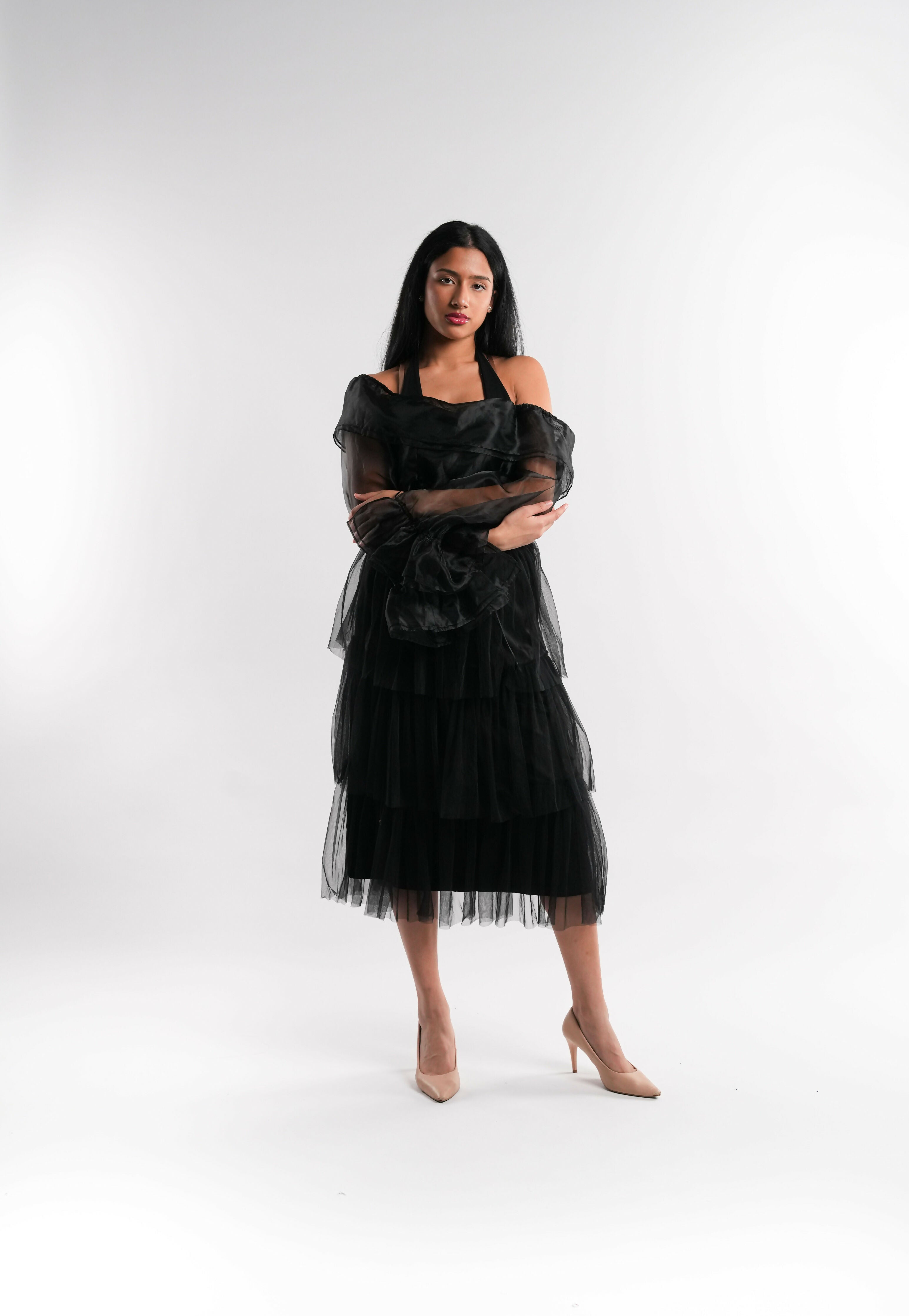 Sheer Organza Top in Black