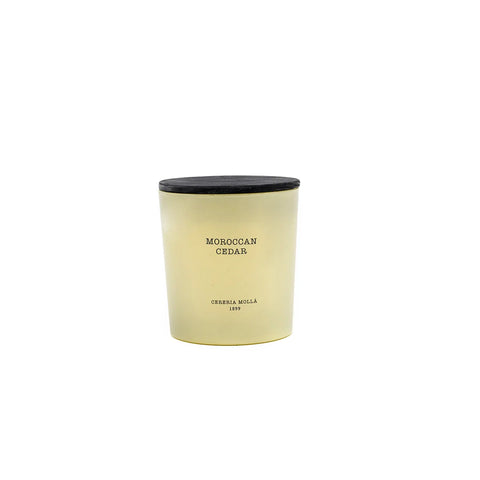 Candle XL (Moroccan Cedar)