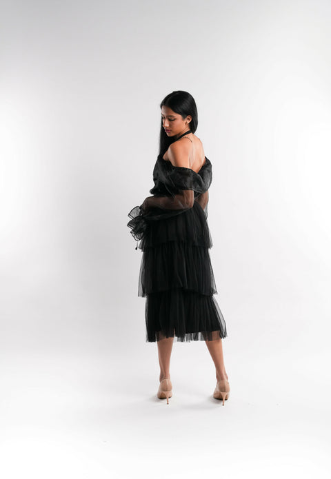 Sheer Organza Top in Black