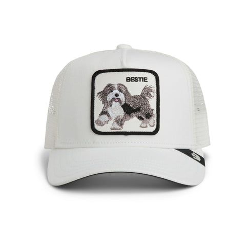 Goorin Bros. Bestie Trucker Cap
