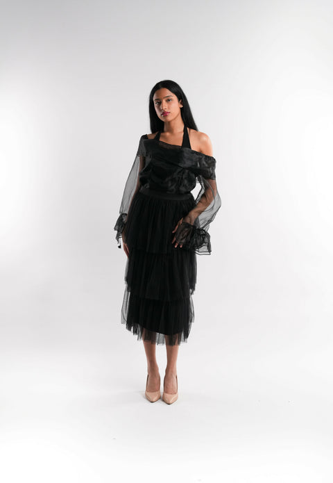Sheer Organza Top in Black