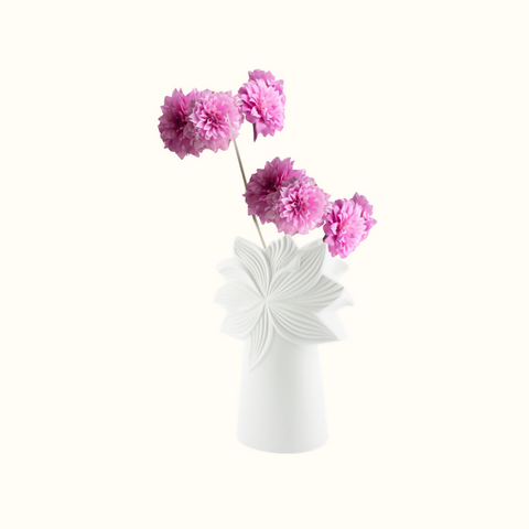 Palmkrone Pure Petal