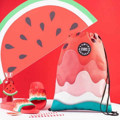 Water Melon Ice Cream