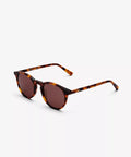 S2_M1C2_NEW_DEPP_Tortoise_2