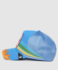 101-1070-BLU-S01
