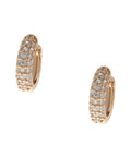 ear_499_gold_clear