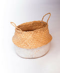 LINK_Susarts-6