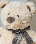 04107A24A05  150 34 CM