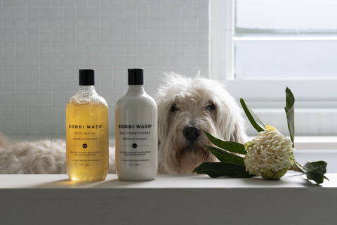Bondi Wash Dog Conditioner Paperbark & Lemongrass 500ml
