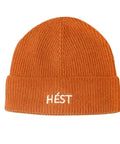 HestBeanierust_fbcc55bc-068b-4c4a-a2eb-bfc52a82dcc3