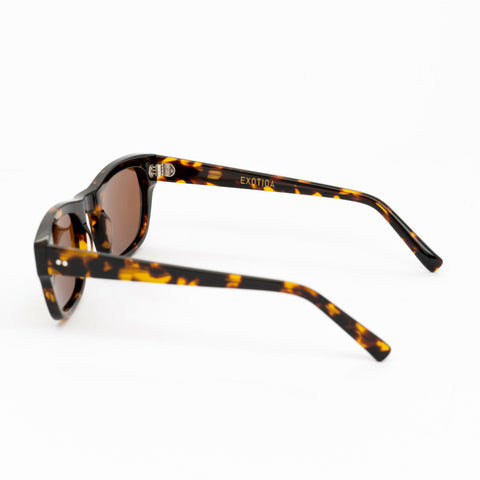 Mojo Sunglasses | Brown Frames & Brown Lenses