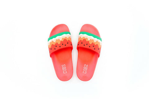 Water Melon Ice Cream