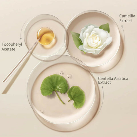 Product Image-7