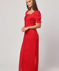 Dilruba_4_copy