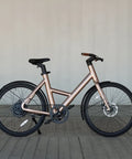 Next_Low_2