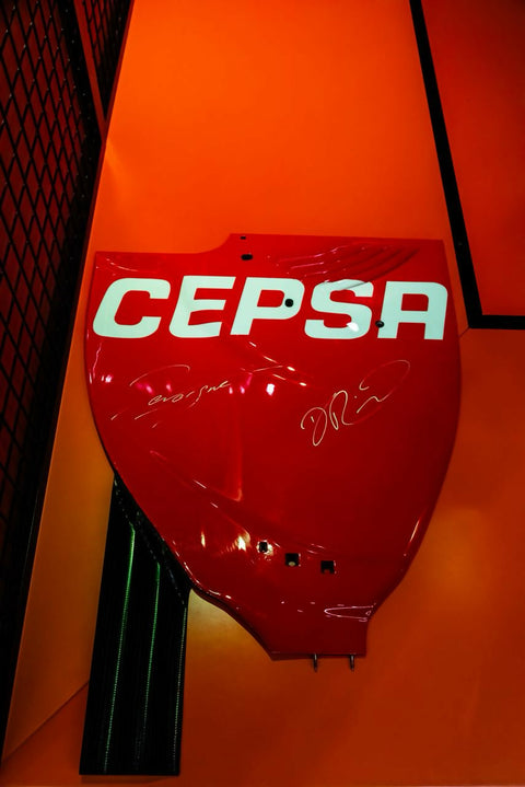 Toro Rosso STR6 Rear Wing Endplate – 2011 (Dual Signed)