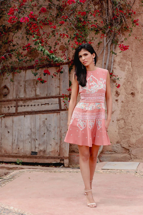 Amara Short Blush Dress