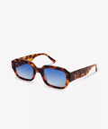 DWTOBL_DOWNEY_Tortoise_2