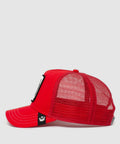 101-0381-RED-S01
