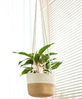 Jute-Cotton-Cord