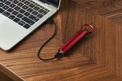 LEXON NOMADAY POWER BANK - DARK RED