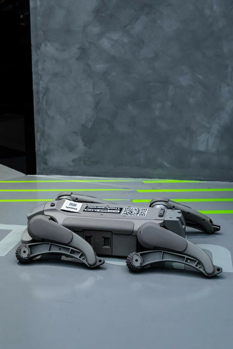 The D1 Ultra DOG BOOT