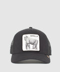 101-0386-BLK-F01