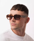S3_M1C6_DOWNEY_Tortoise_5
