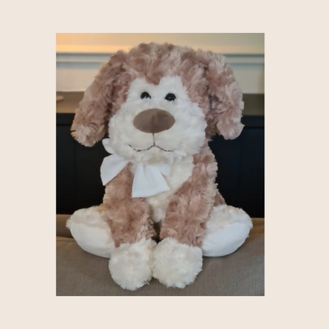 Fluffy Brown sitting dog ''Benny''