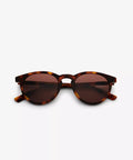 S2_M1C2_NEW_DEPP_Tortoise_4