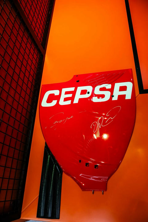 Toro Rosso STR6 Rear Wing Endplate – 2011 (Dual Signed)
