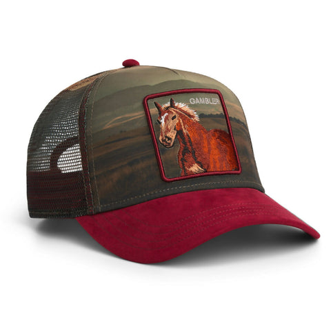 Goorin Bros. Stallion In The Element Trucker Cap
