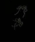 image00056