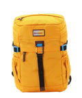 D00723.68_OCHER_1_538x