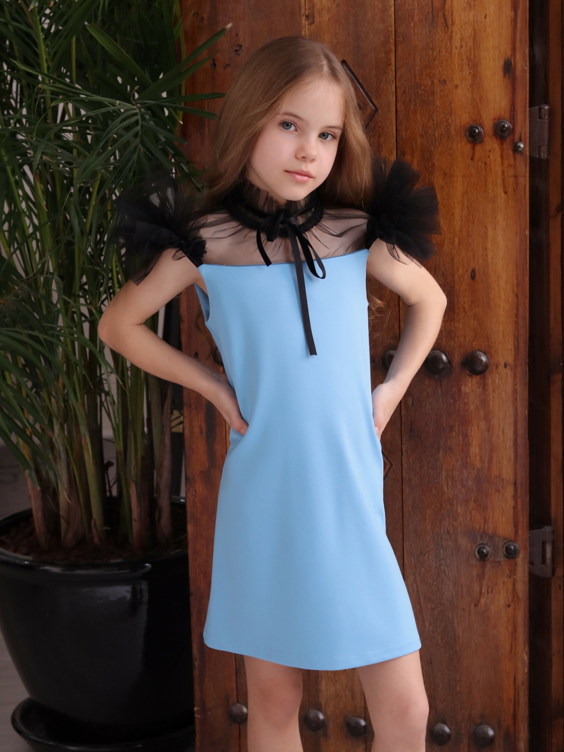Chic Puff Sleeve Mini Dress for Special Occasions