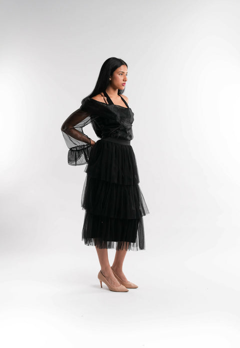 Sheer Organza Top in Black