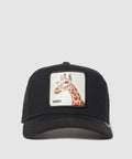 101-0659-BLK-F01