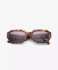 S3_M1C6_DOWNEY_Tortoise_4