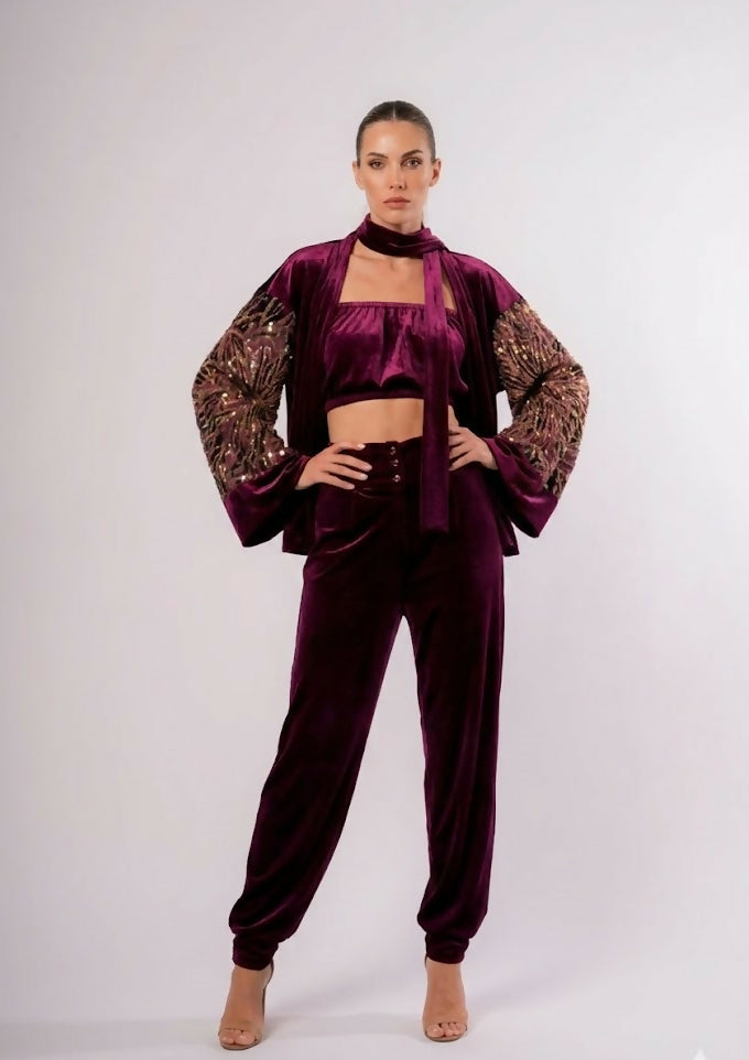 Purple Velvet Set, With Velvet Top And Belt, Sleeves With Shiny Gold Beads