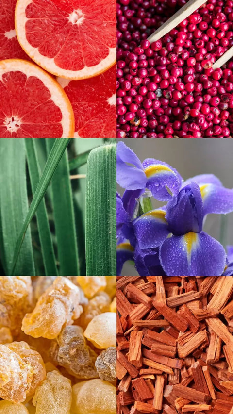HAJRI Zesty Spicy