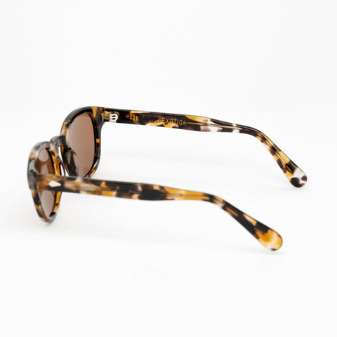 Sage Sunglasses | Brown Frames & Brown Lenses