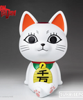 Product Image-2