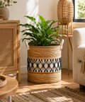 Product Image-2