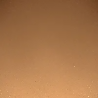 PAESE Illuminating & Covering Powder - 4C Tanned