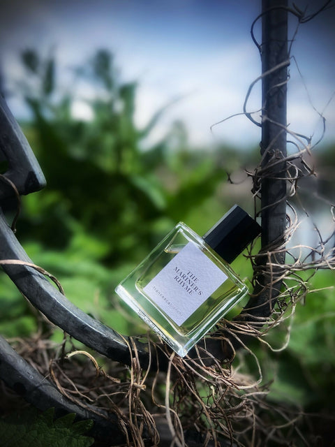 FRANCESCA BIANCHI THE MARINER'S RHYME EXTRAIT EDP