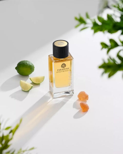 LAGEDOR PARADOXE EDP